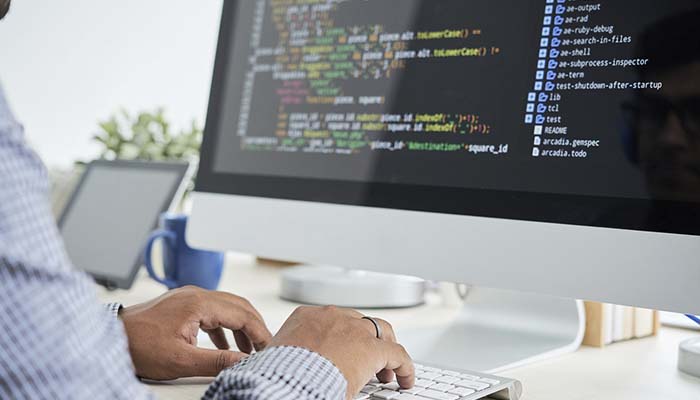 Software Developer